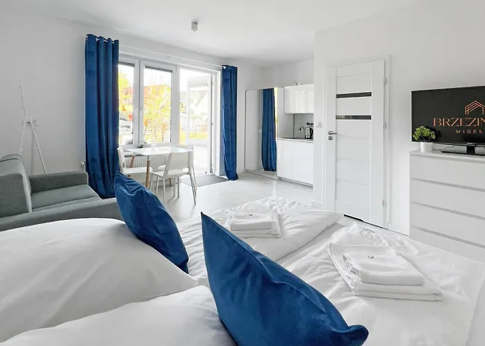 招待所 Brzezinscy 3*