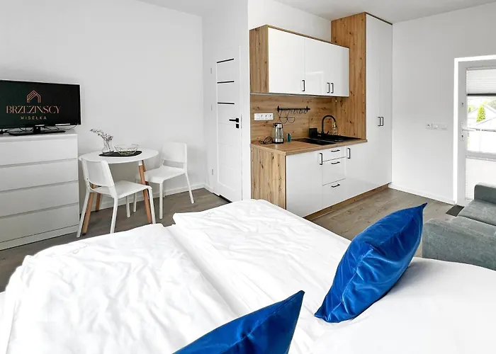 Brzezinscy Penzion 3*