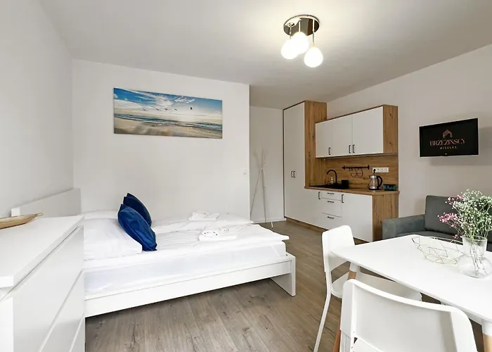 Penzion Brzezinscy 3*